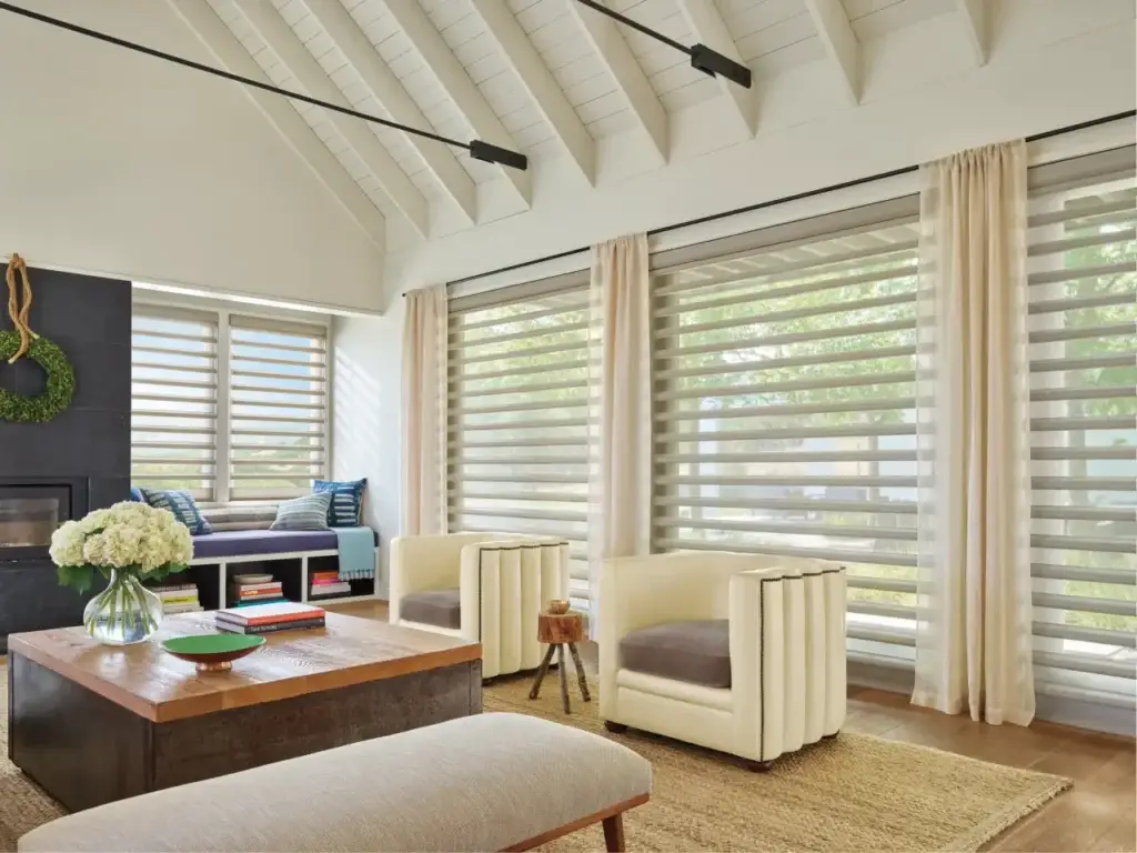 Hunter Douglas Pirouette in livingroom
